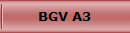 BGV A3