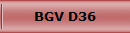 BGV D36